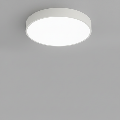 Elegant LED Ceiling Light | Modern Design