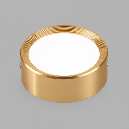 Ultra-thin LED Ceiling Light | Modern Surface Mount Lamp