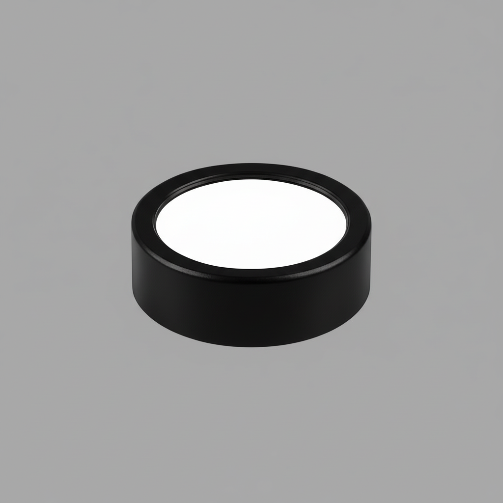 Ultra-thin LED Ceiling Light | Modern Surface Mount Lamp